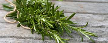 rosemary